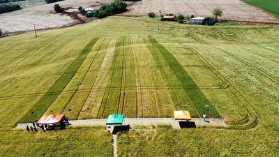 Dia de Campo Coprossel reúne produtores e técnicos em Rio Bonito do Iguaçu